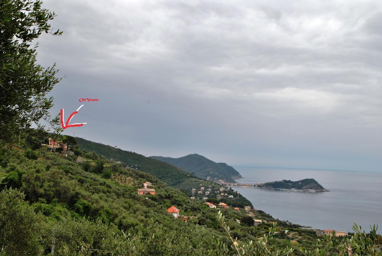 Olivenere Agriturismo ลาวาญา ภายนอก รูปภาพ
